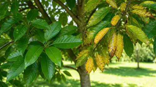Identifying Early Tree Stress Signs